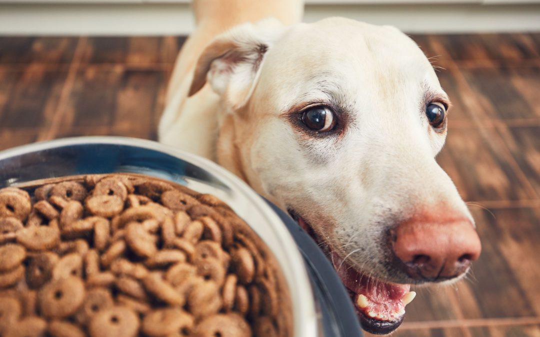 Manufacturing Pet Food – Are you Compliant?
