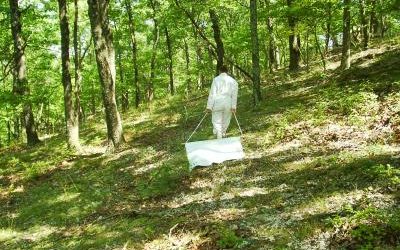 Tick Dragging: An Effective Way to Reduce Tick Populations