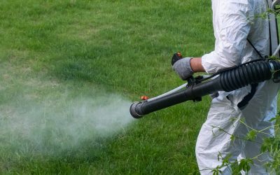 Spring Pest Control in New England